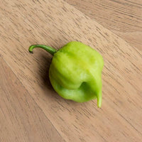 I Scream Scorpion Pepper Seeds - The Pepper Pantry (Formerly Marie Sharp's)