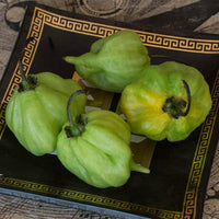 I Scream Scorpion Pepper Seeds - The Pepper Pantry (Formerly Marie Sharp's)