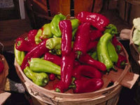 75 CUBANELLE PEPPER (Italian Sweets / Banana Pepper / Italian Frying Pepper) Capsicum Annuum Vegetable Seeds