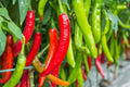 100 BIG JIM PEPPER Green to Red Big 12" Chili Mild Heat Capsicum Annuum Vegetable Seeds