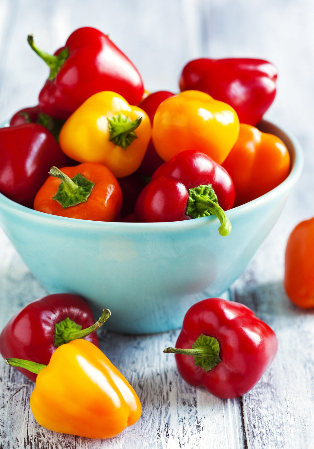 20 Organic Red MINI BELL PEPPER Sweet Mild Miniature Capsicum Annuum Vegetable Seeds