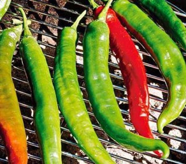 Italian Roaster Pepper Seeds - The Pepper Pantry (Formerly Marie Sharp's)