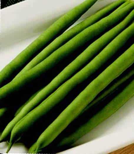 Jade Bean