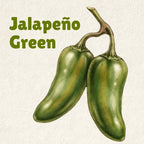 Jalapeño Green Hot Sauce