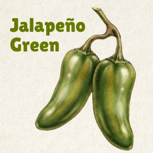 Jalapeño Green Hot Sauce