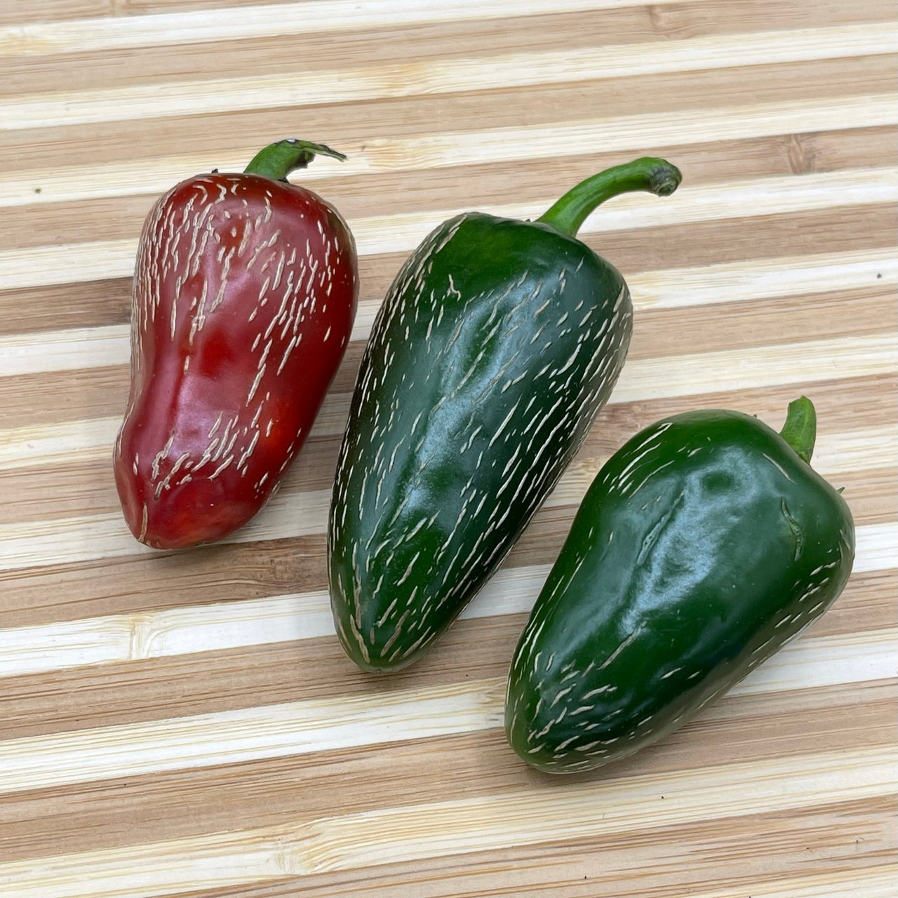 Jalapeño Traveler - Seeds - The Pepper Pantry (Formerly Marie Sharp's)