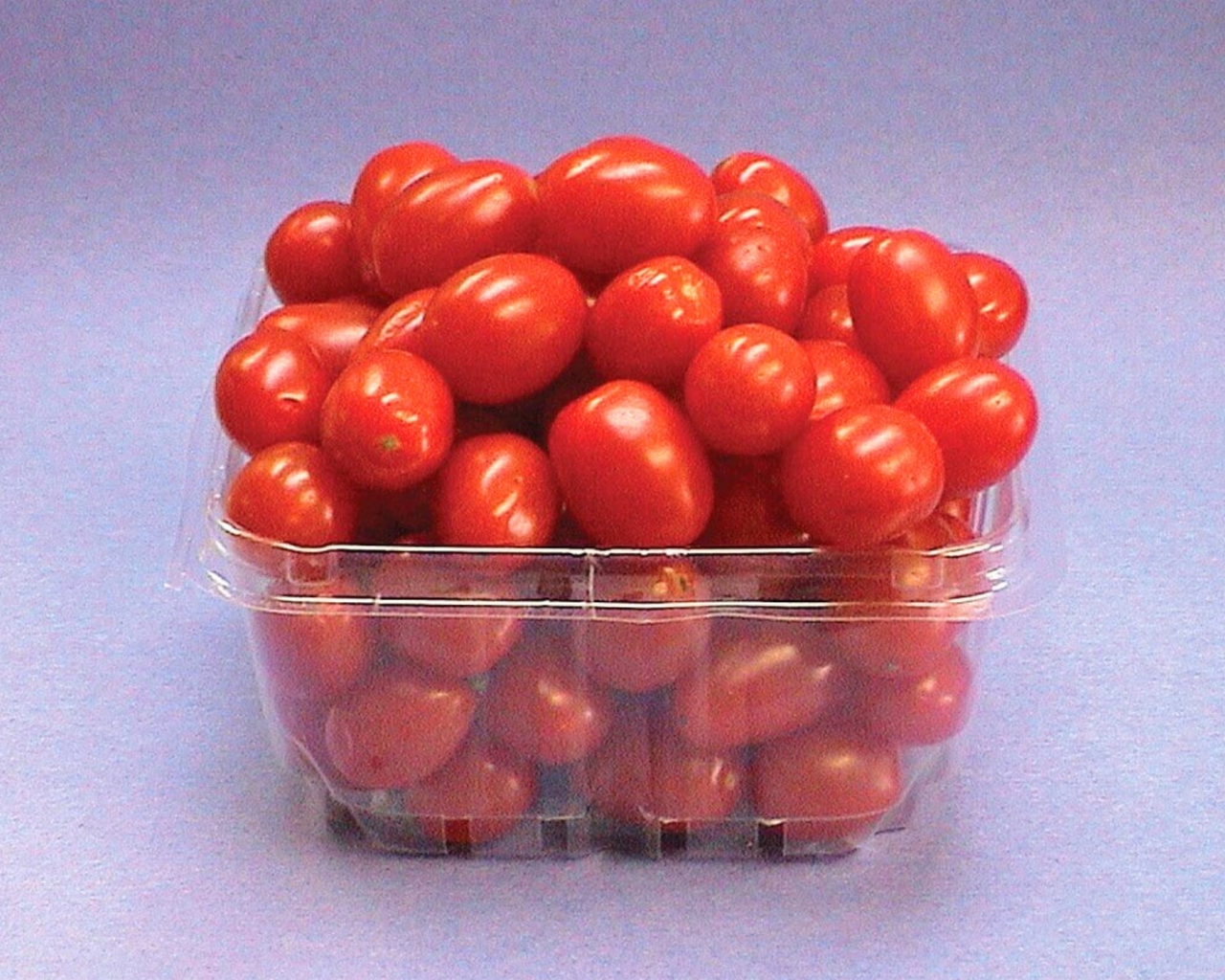 Jelly Bean Red Hybrid Tomato Seeds