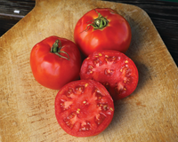 Jet Star Hybrid Tomato Seeds