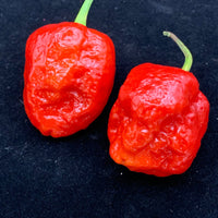 Jigsaw x Moruga - Seeds - The Pepper Pantry (Formerly Marie Sharp's)