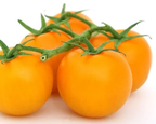 Jubilee Tomato Seeds