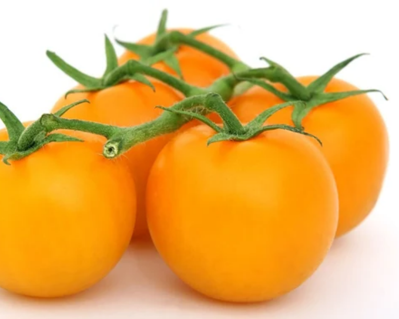 Jubilee Tomato Seeds