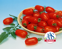 Juliet Hybrid Tomato Seeds