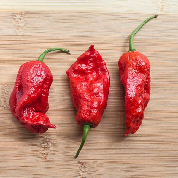 King Naga Pepper Seeds - The Pepper Pantry (Formerly Marie Sharp's)