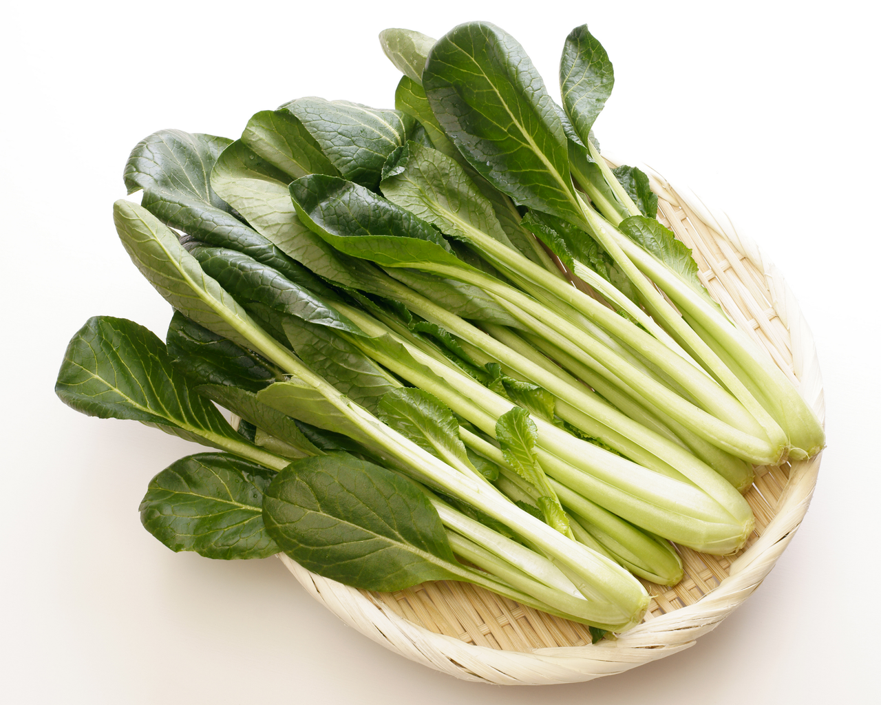 Komatsuna (Japanese Mustard Spinach) Seeds