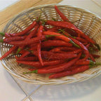 Kung Pao Pepper Seeds (Non - Isolated)