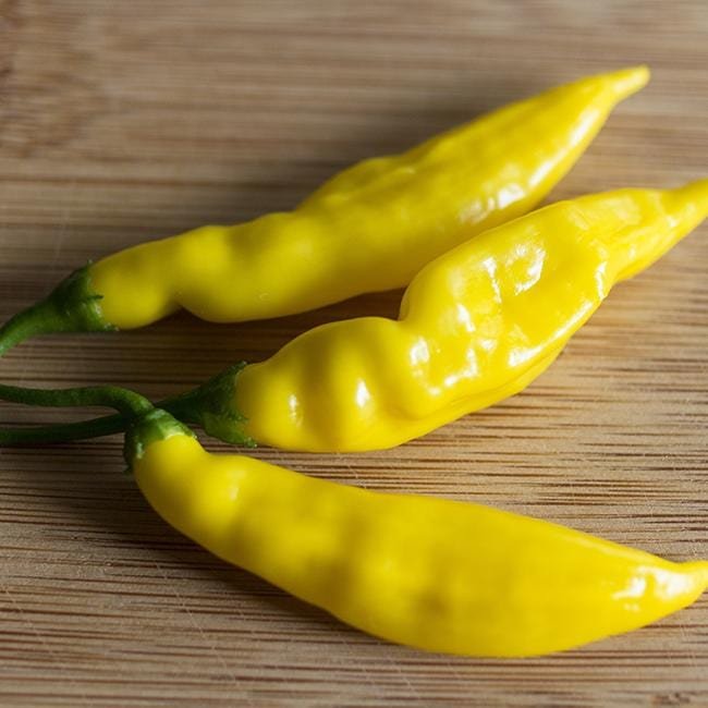 Lemon Drop Pepper Seeds - The Pepper Pantry (Formerly Marie Sharp's)