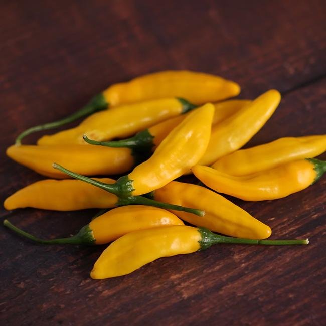Lemon Drop Pepper Seeds - The Pepper Pantry (Formerly Marie Sharp's)