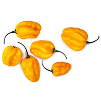 Lemon Habanero Seeds - The Pepper Pantry (Formerly Marie Sharp's)