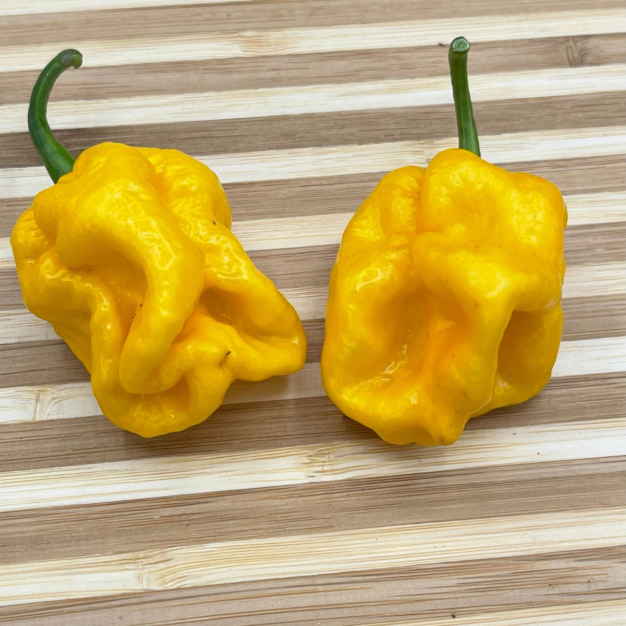 Lemon Habanero - Seeds - The Pepper Pantry (Formerly Marie Sharp's)
