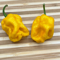 Lemon Habanero - Seeds - The Pepper Pantry (Formerly Marie Sharp's)