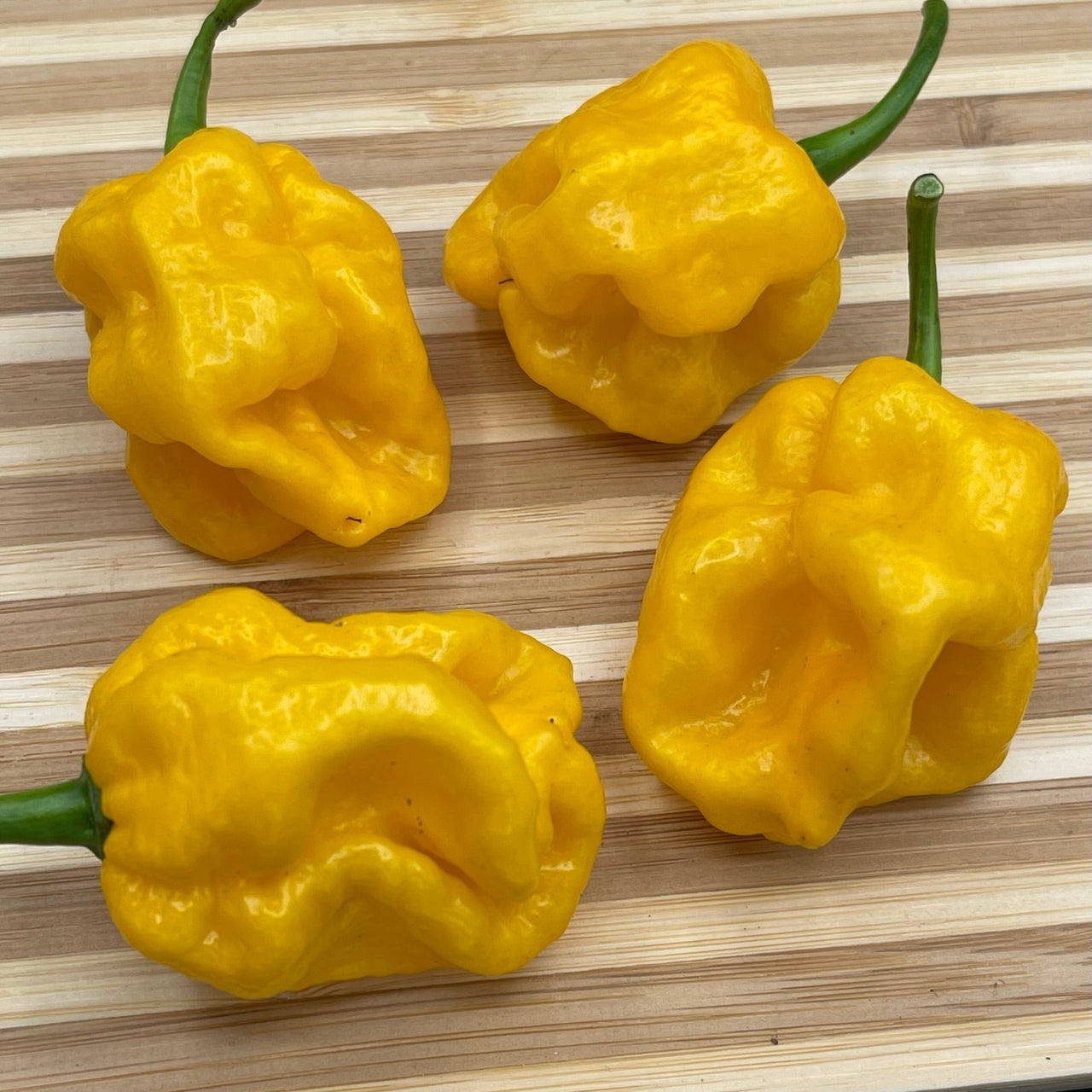 Lemon Habanero - Seeds - The Pepper Pantry (Formerly Marie Sharp's)