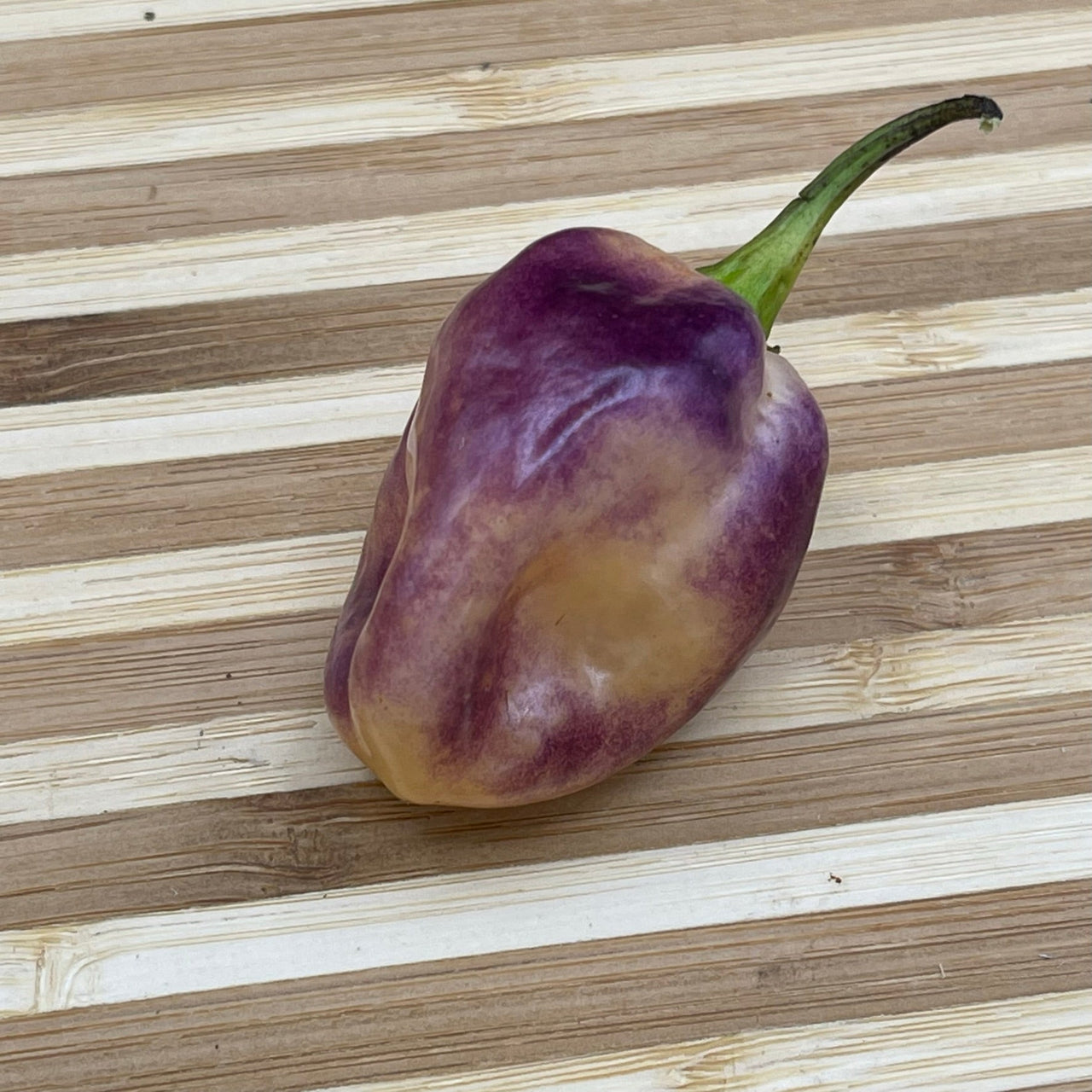 M.A.M.P. Purple BerryGum - Seeds - The Pepper Pantry (Formerly Marie Sharp's)