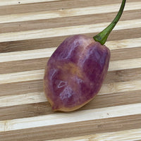 M.A.M.P. Purple BerryGum - Seeds - The Pepper Pantry (Formerly Marie Sharp's)