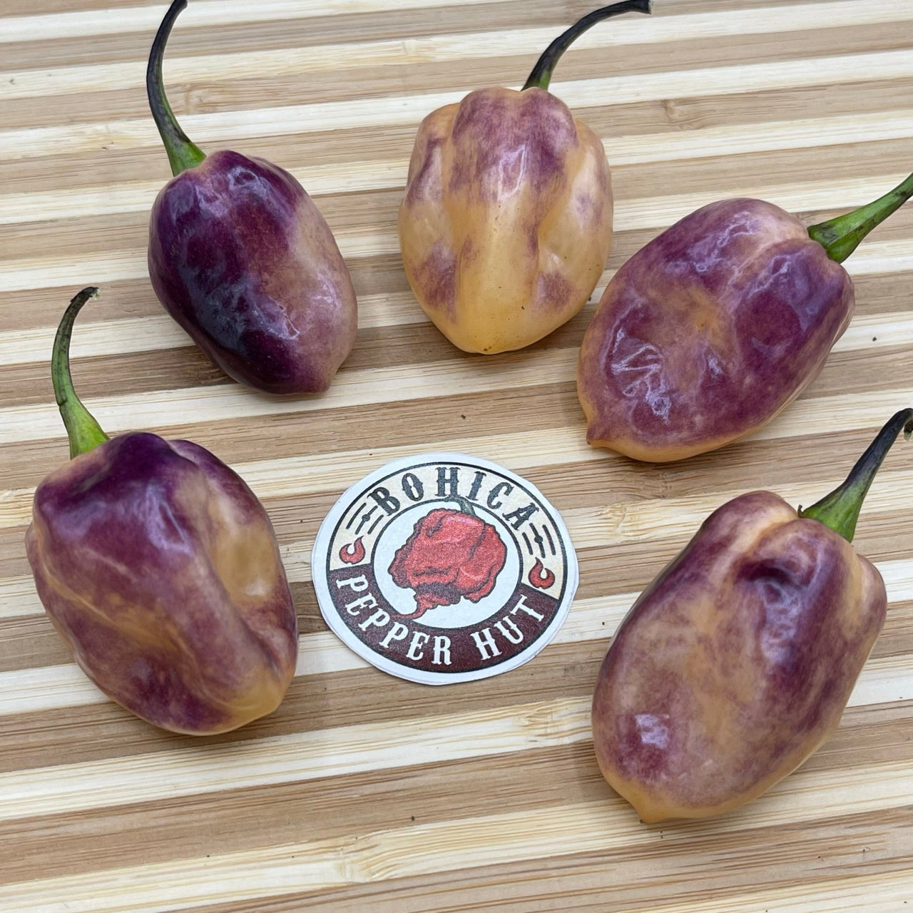 M.A.M.P. Purple BerryGum - Seeds - The Pepper Pantry (Formerly Marie Sharp's)