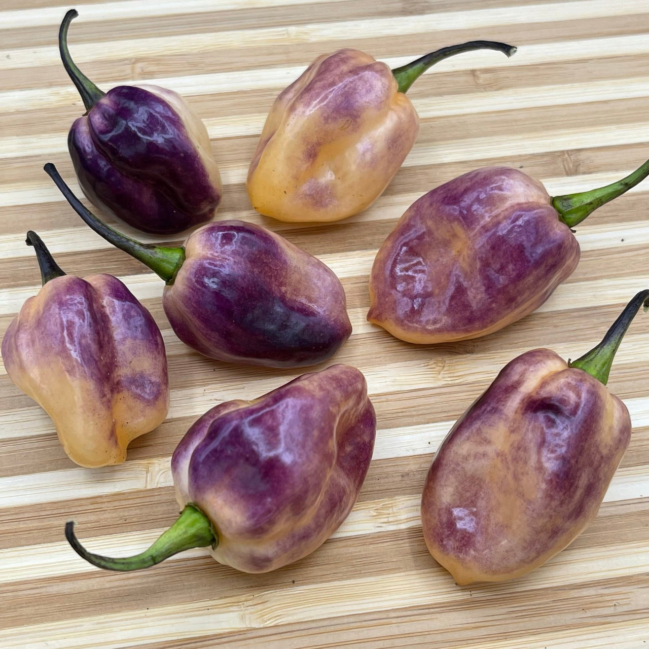 M.A.M.P. Purple BerryGum - Seeds - The Pepper Pantry (Formerly Marie Sharp's)