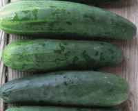Marketmore 76 Cucumber Seeds