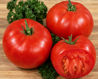 Mega Tom Giant Tomato Seeds