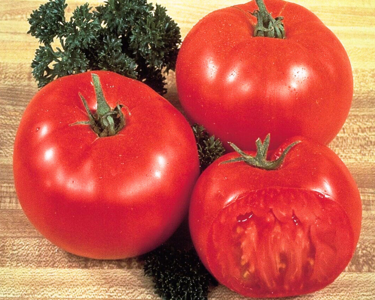 Mega Tom Giant Tomato Seeds