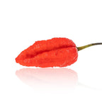 Mojo Pumpkintail Chili Pepper Seeds