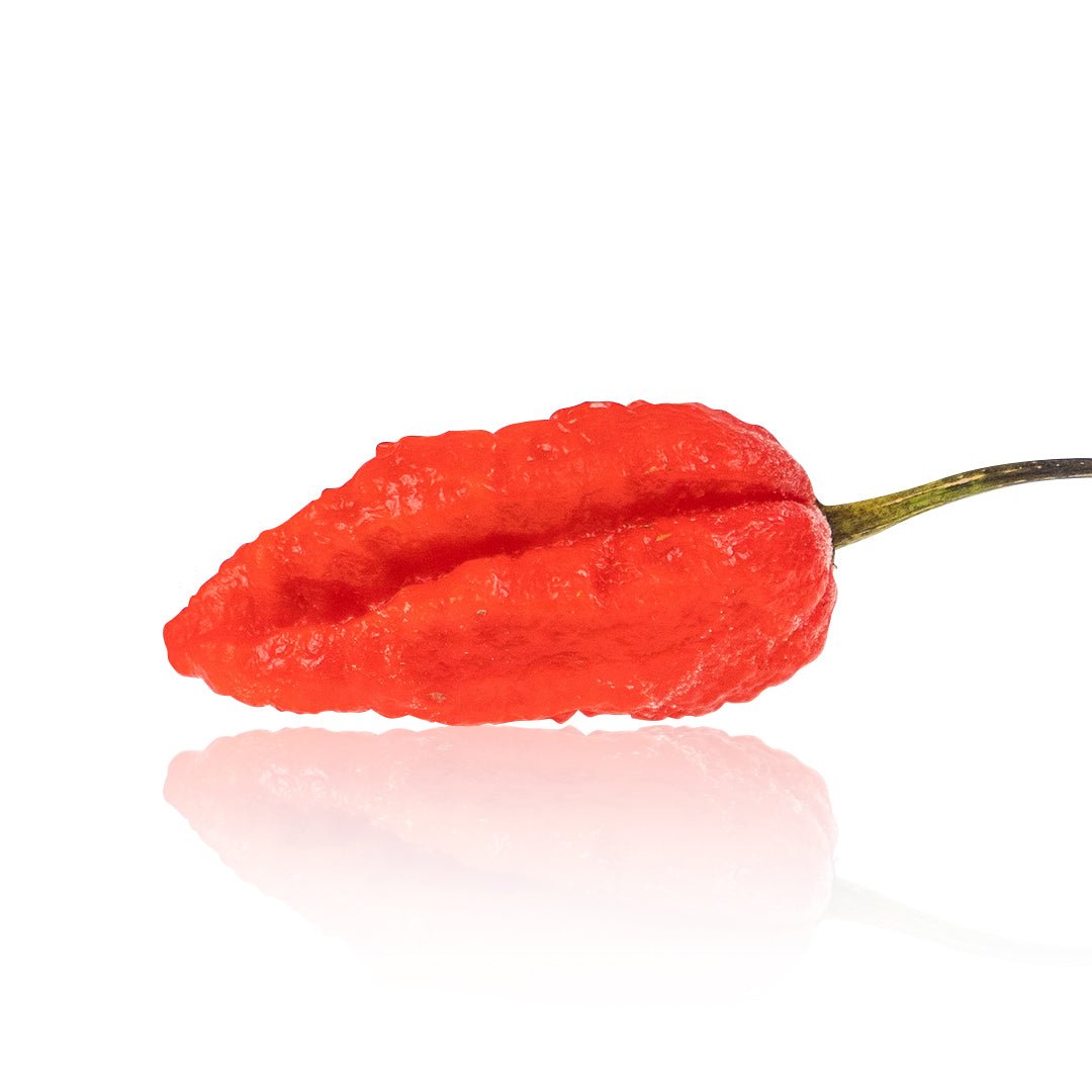 Mojo Pumpkintail Chili Pepper Seeds