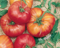 Mr. Stripey Tomato Seeds