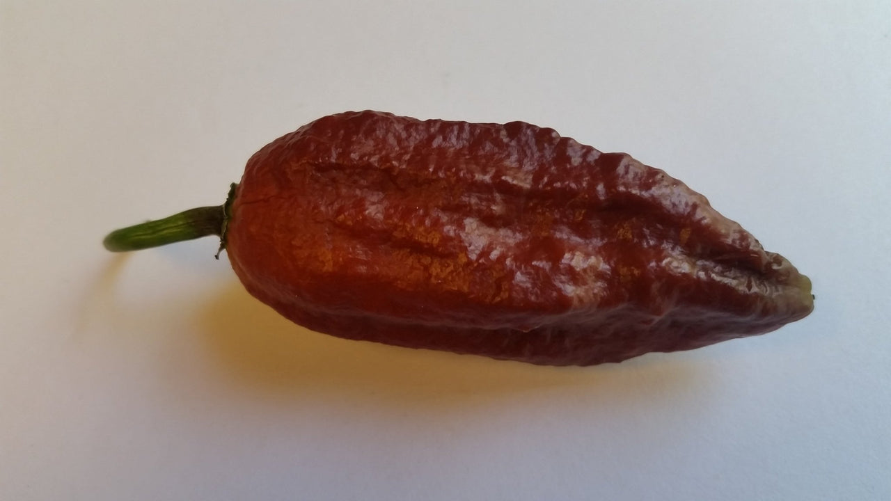 Naga Black - Seeds - The Pepper Pantry (Formerly Marie Sharp's)