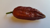 Naga Black - Seeds - The Pepper Pantry (Formerly Marie Sharp's)