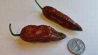 Naga Black - Seeds - The Pepper Pantry (Formerly Marie Sharp's)