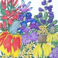 North American Perennial Wildflower Mix (1/4 lb)