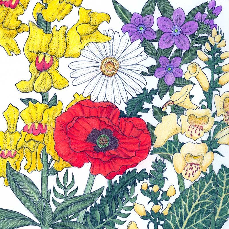 North American Shade Wildflower Mix (lb)