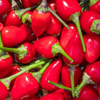 NuMex Chili Pepper Seeds - The Pepper Pantry (Formerly Marie Sharp's)