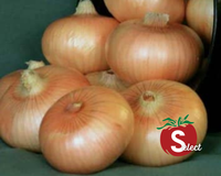 Yellow Granex Hybrid Onion Seeds