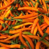 Orange Cayenne Pepper Seeds - The Pepper Pantry (Formerly Marie Sharp's)