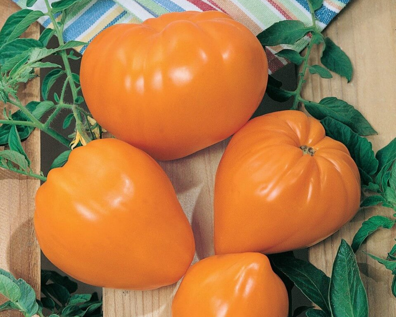 Orange Strawberry Tomato Seeds