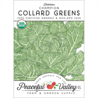 Champion Collard Green Seeds (Organic)