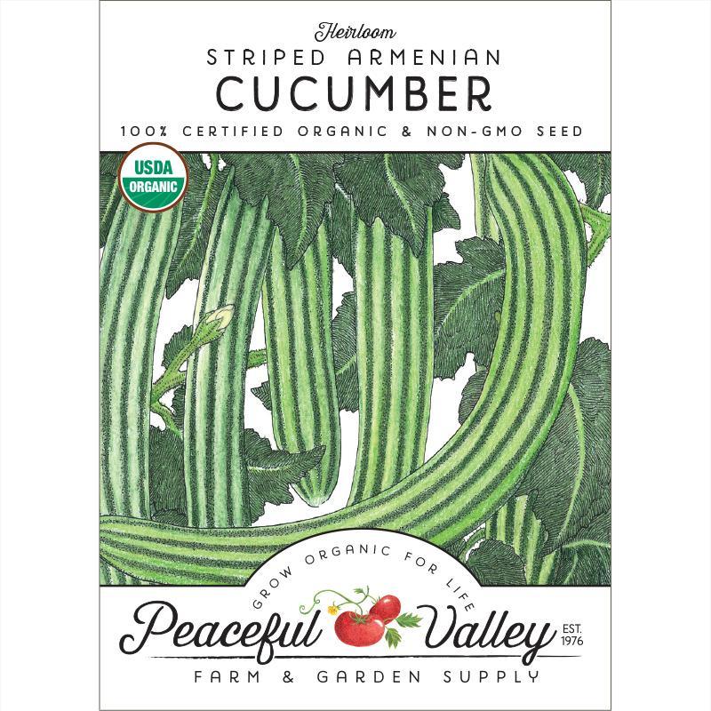 Striped Cucumber Seeds (Organic)