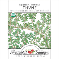 Thyme, German Winter (Organic)
