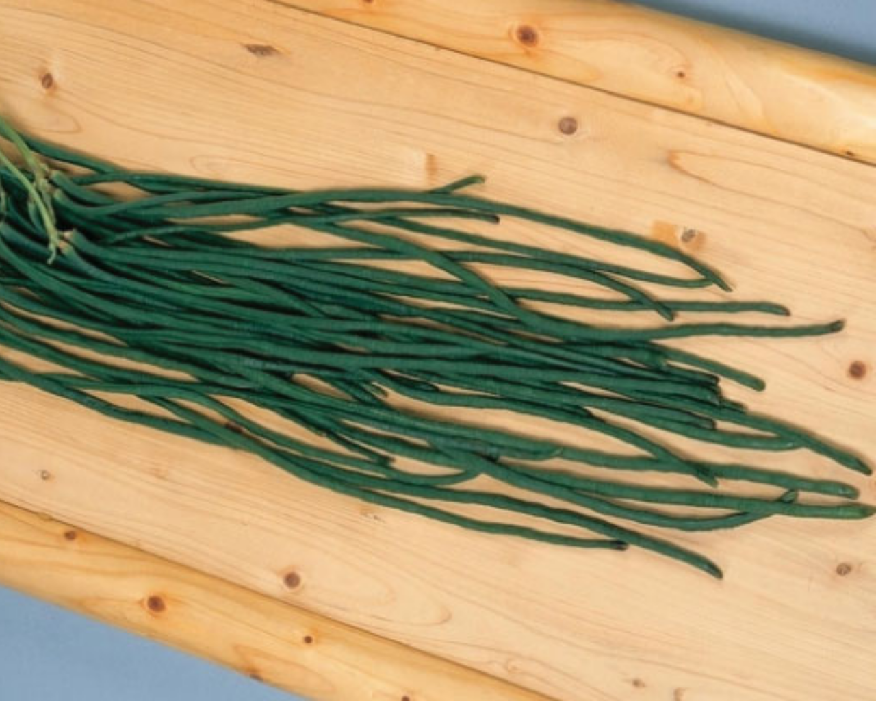 Orient Wonder Bean Seeds