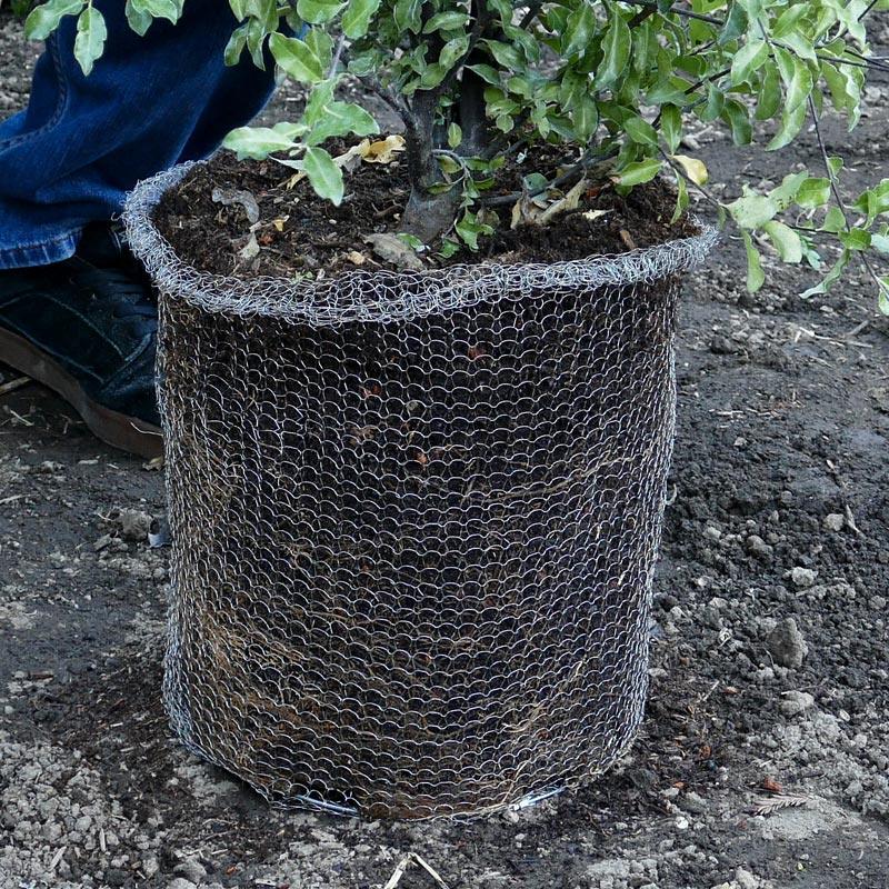 Root Guard Speed Basket 1 gal (4/pk)