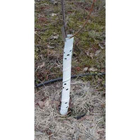 Spiral Tree Guards - 36